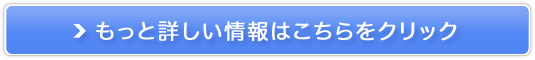 YOỸXLPAySILPUREz̔TCg